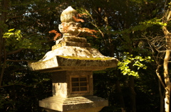 小さな生命