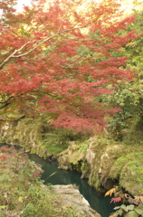 霧島の紅葉