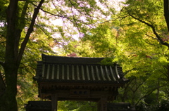大威徳寺