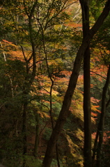 犬鳴山七宝瀧寺