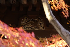 紅炎に包まれた龍