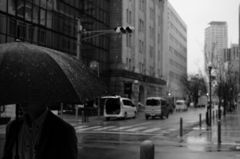 雨の旧居留地