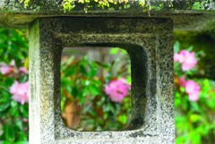 覗き見