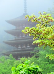 雨に煙る