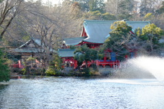 井の頭公園