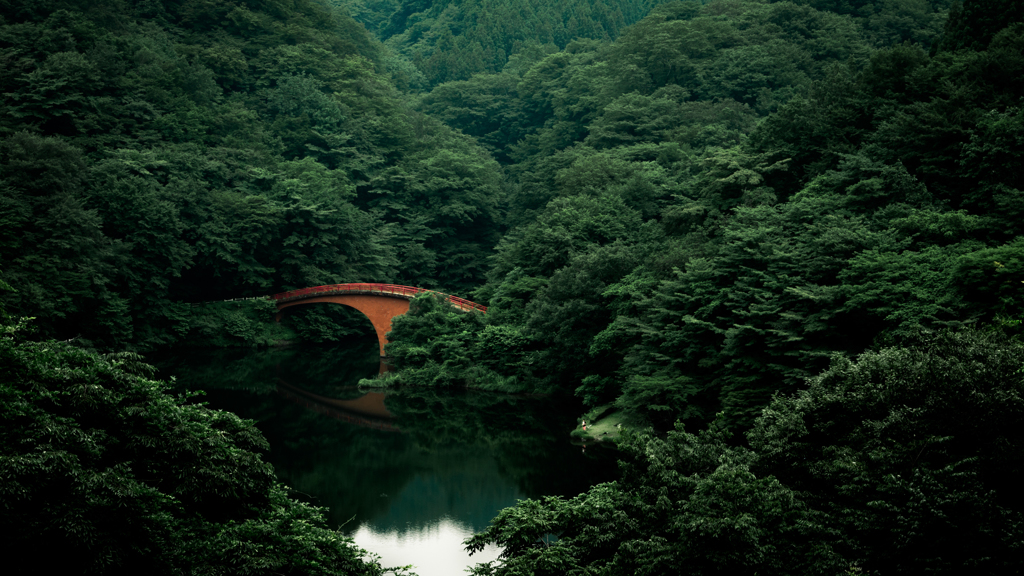 夏の碓氷湖