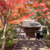円覚寺紅葉