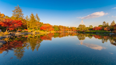 紅葉 〜昭和記念公園日本庭園〜 その２