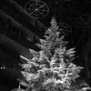 ユキフルクリスマス