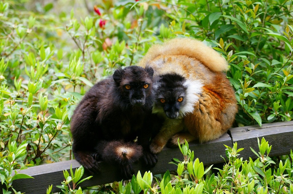 10330909823000042500_m2dplfwtla