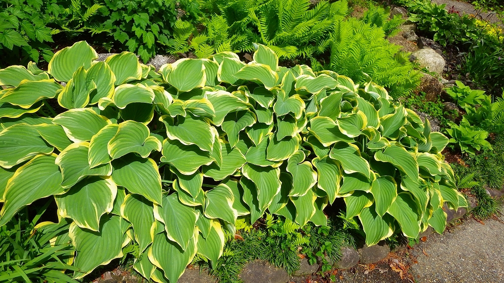 密集　その２