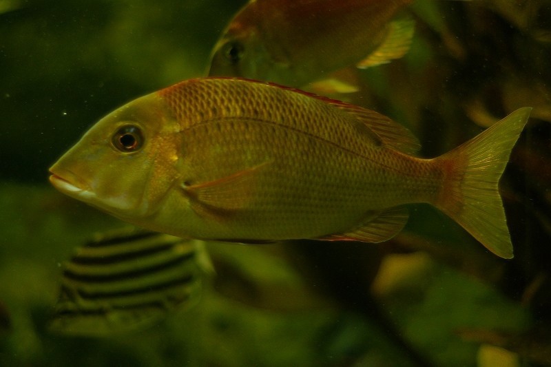 10228853756800042500_c98uylx4la