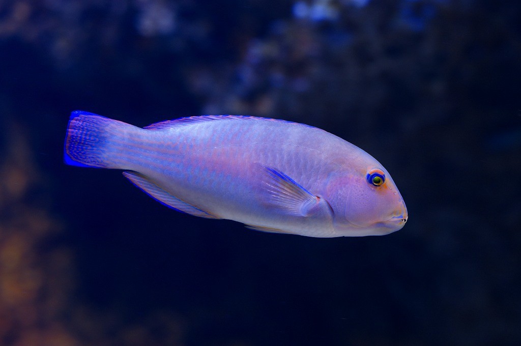 10133683755200042500_ff6q7glqla