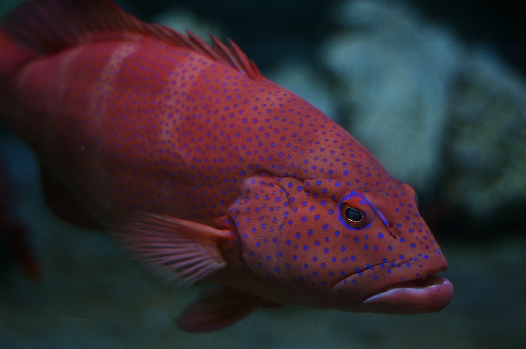 10334569831900042500_gv7ppp97la