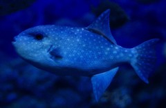 10126192437100042500_wmdoqpr3la