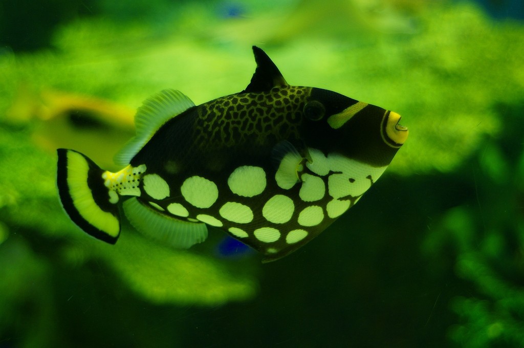 10233637151000042500_u864wd51la