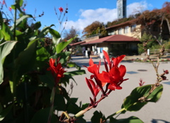 君は燃えているか　その165