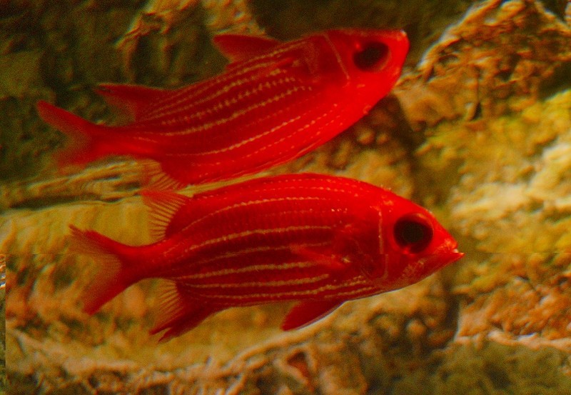 10228836305700042500_r47hgmmala