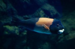 10133009376200042500_y6x0wv1fla