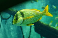 10329613354800042500_94m0hfzfla