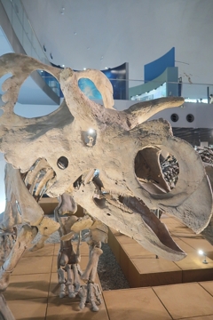 かかってこんかい！！　その40