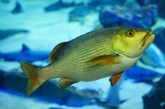 10529890542300042500_vmls0u3ala