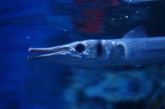 10231627203800042500_q0wrbet5la