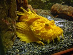 10230321685500042500_kwzs1p16la