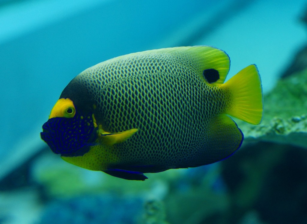 10326460157800042500_5nk7o33dla