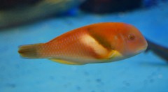 10326379425100042500_sgac3azwla