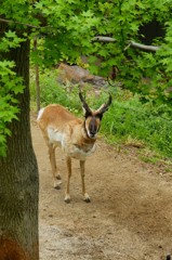 10227795982700042500_0gmxdrckla