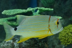 10336150143100042500_210rp8adla