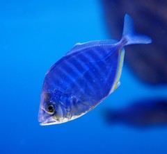 10428858802300042500_kzt2wrmsla