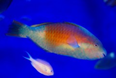 10226071695500042500_gb8hc72yla