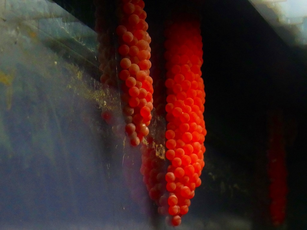 10231246860100042500_7011u0xmla