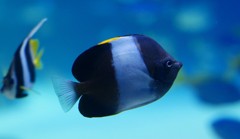 10233510455100042500_fo1mnamfla