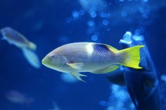 10235251460700042500_rlogxwwula