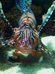 10232515388100042500_cptjq4sala