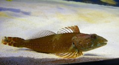 10328819078600042500_nxy2ro20la