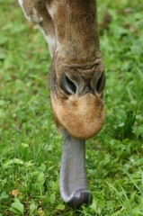 10337675511300042500_h7l4uoy1la