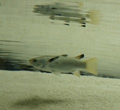 10234882639600042500_dued9aswla