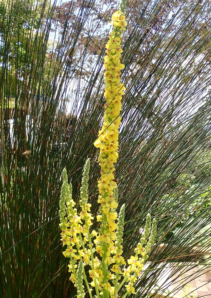 黄金の塔