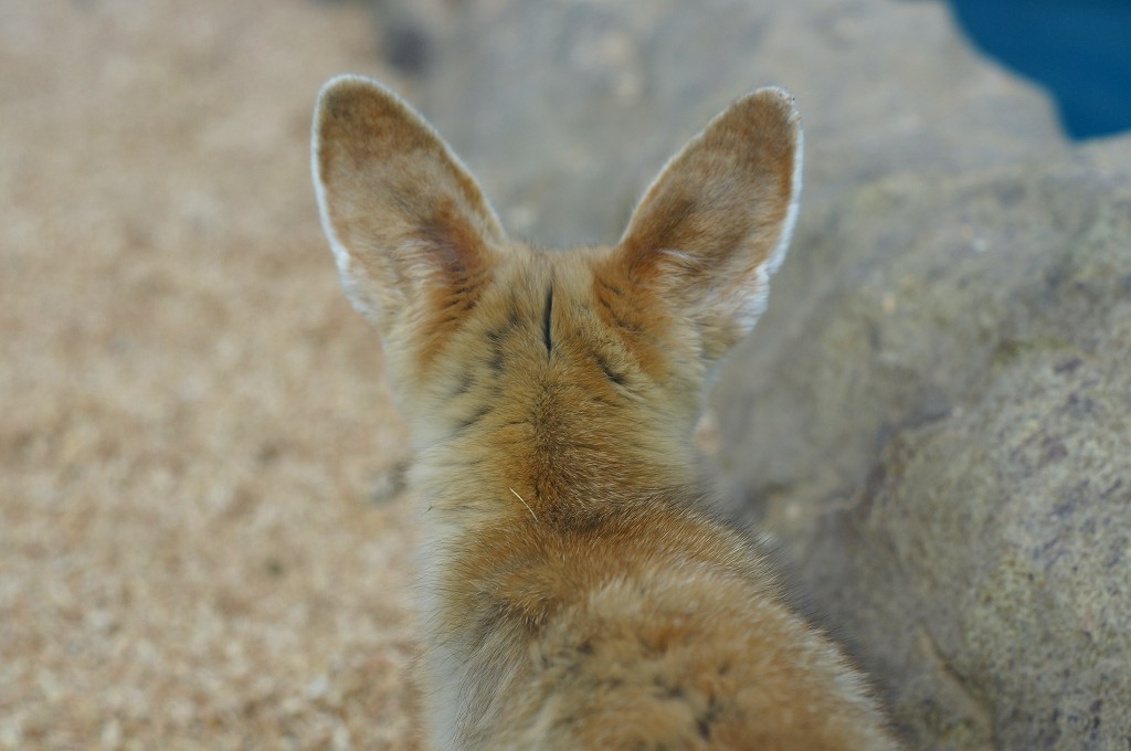 10233576031400042500_uw8hfydxla