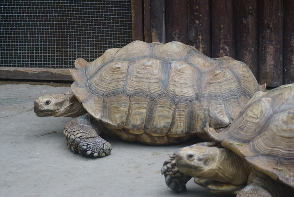 のんびり行こうぜ　その7