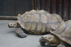 のんびり行こうぜ　その7