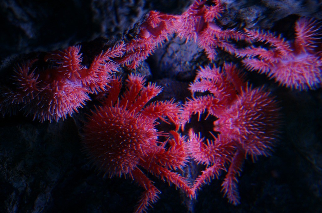 水鏡