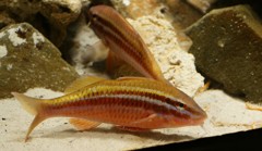 10236253670300042500_2estqhrlla