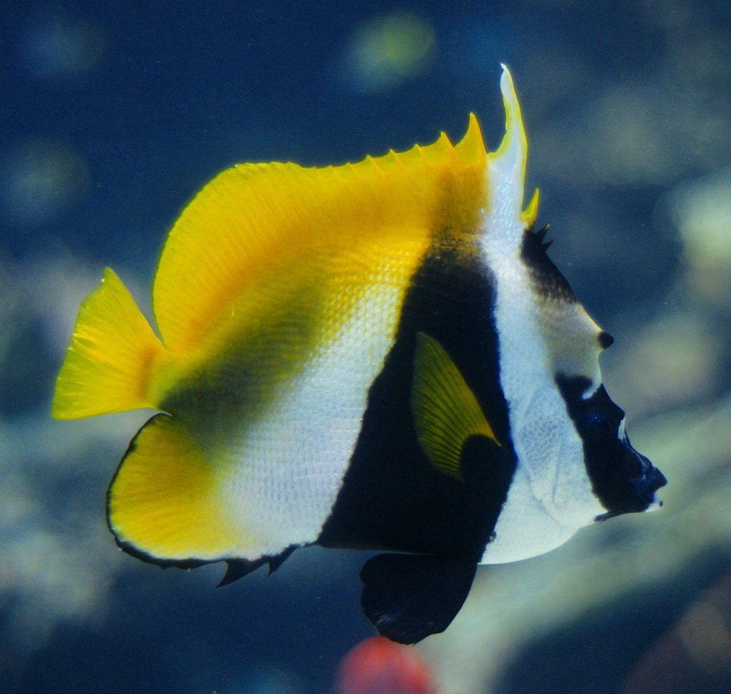 10225881573000042500_utggahxola