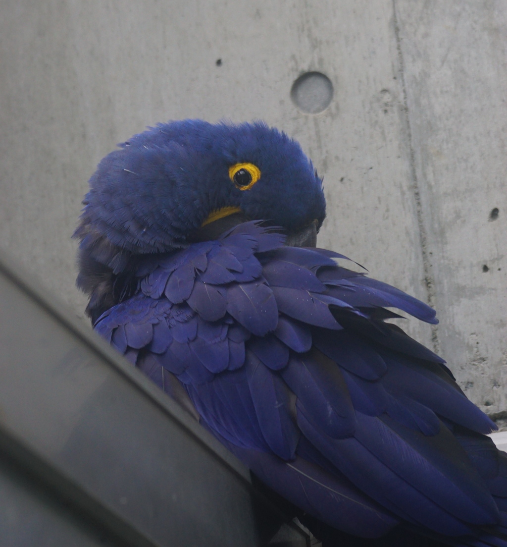 見張ってるからな！！　その61