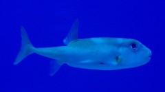 10325761741100042500_qm8h4r7xla